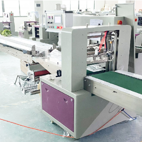 Automatic Vegetables Fruits Pillow Packing Machines