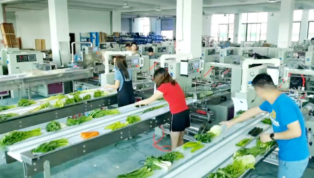 Efficient vegetables pillow packing machine